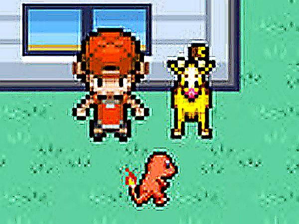 Pokemon Campaign Online RPG Game - Action RPG