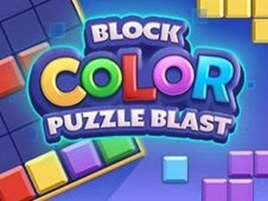 Color Block Puzzle Challenge