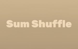 Sum Shuffle Math Puzzle